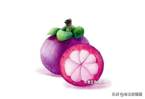 彩鉛入門小教程,教你畫山竹,零基礎(chǔ)也可以學(xué)會